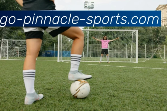 平博(Pinnacle)APP 高清赛事图